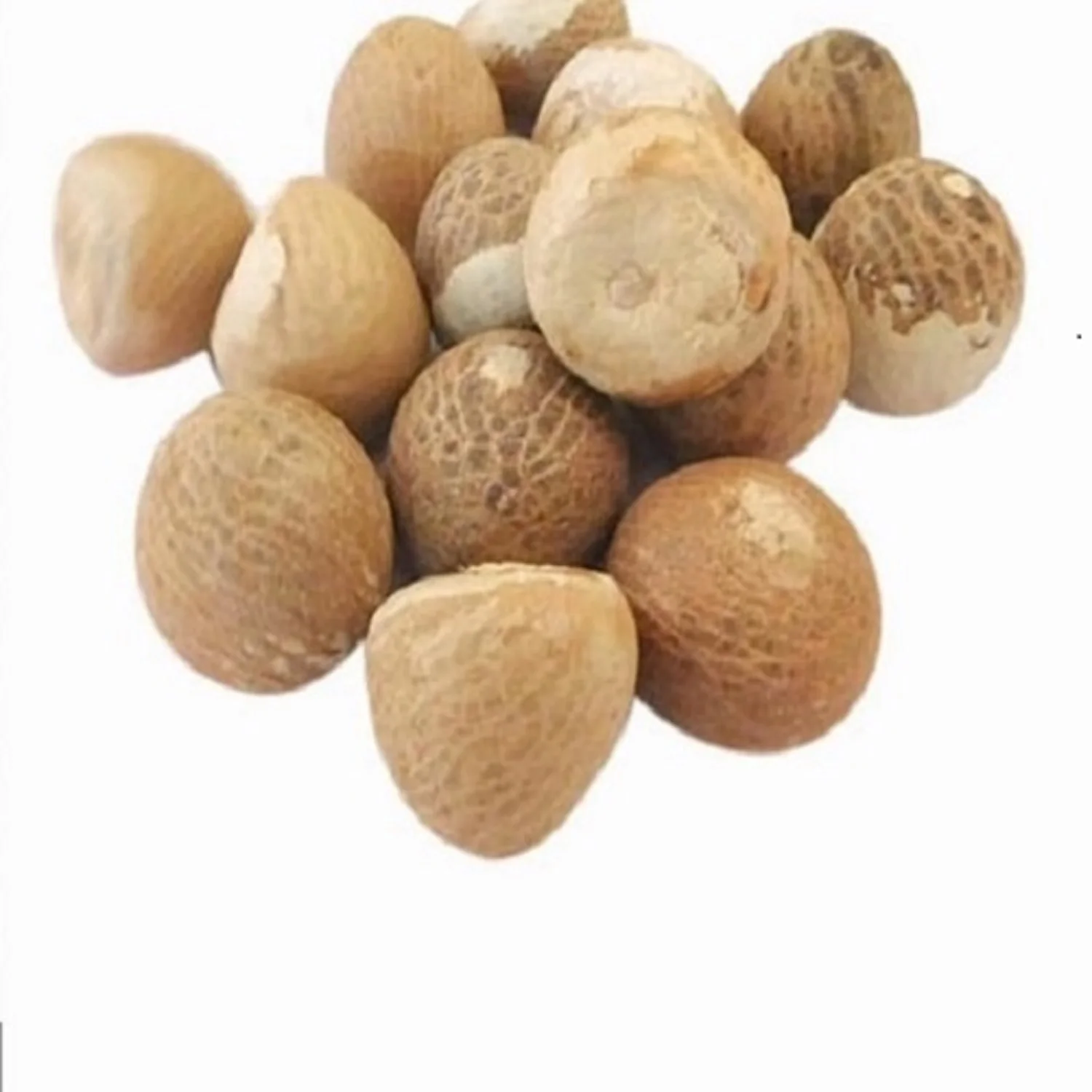 Factory Supply High quality dried Betel Nut from Austria raw material fast delivery time best price