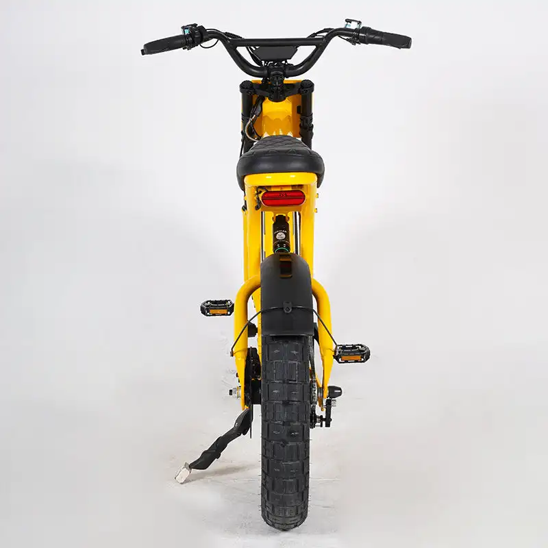 Mangosteen Student Ebike FT03 Best Bicycle College Students Central Rear Hub Motor Integrated Battery 60 km Range Electronic