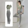 Dark Sea Green + Gray