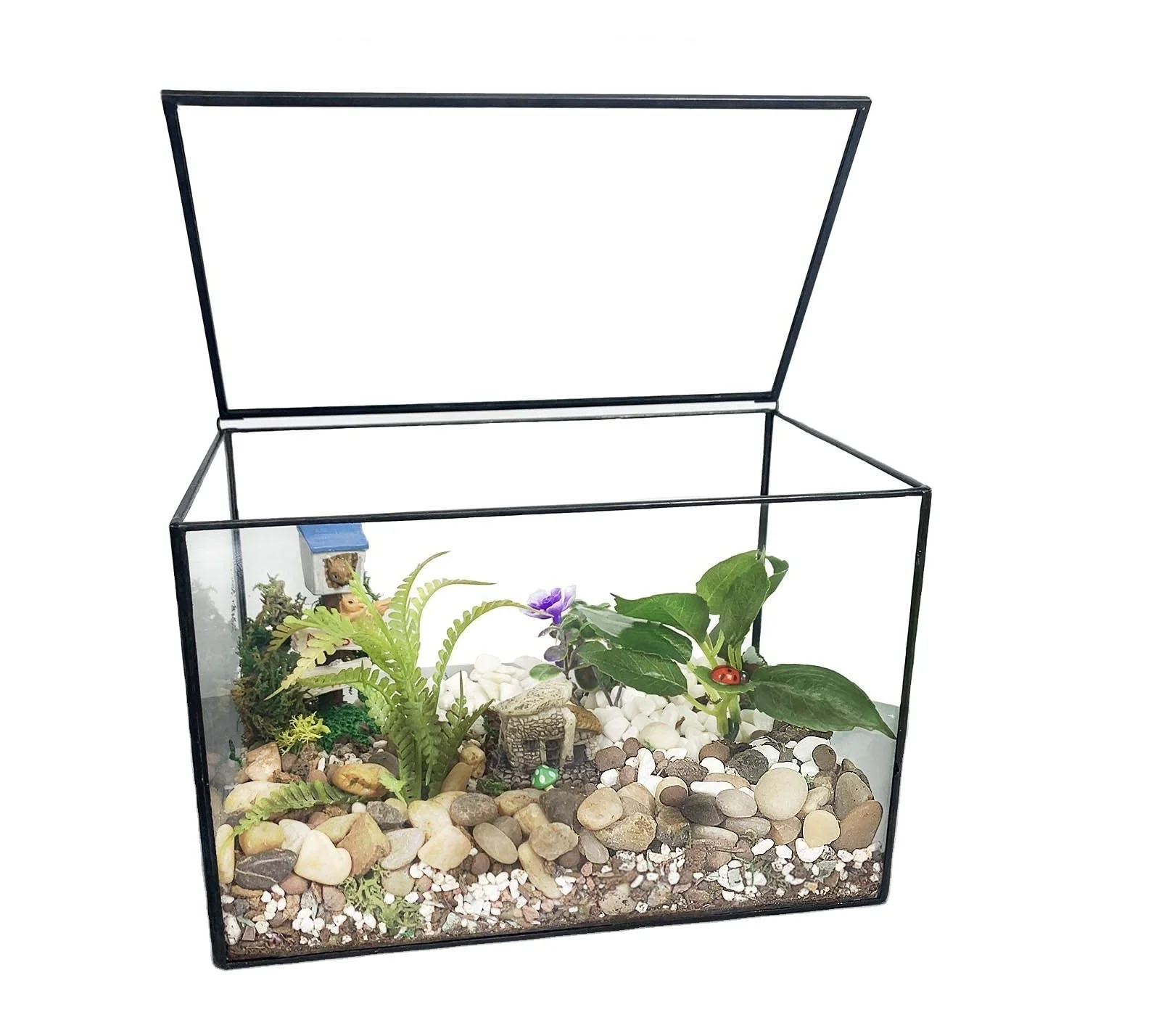 Handmade Geometric Glass Terrarium With Metal Frame For Home And