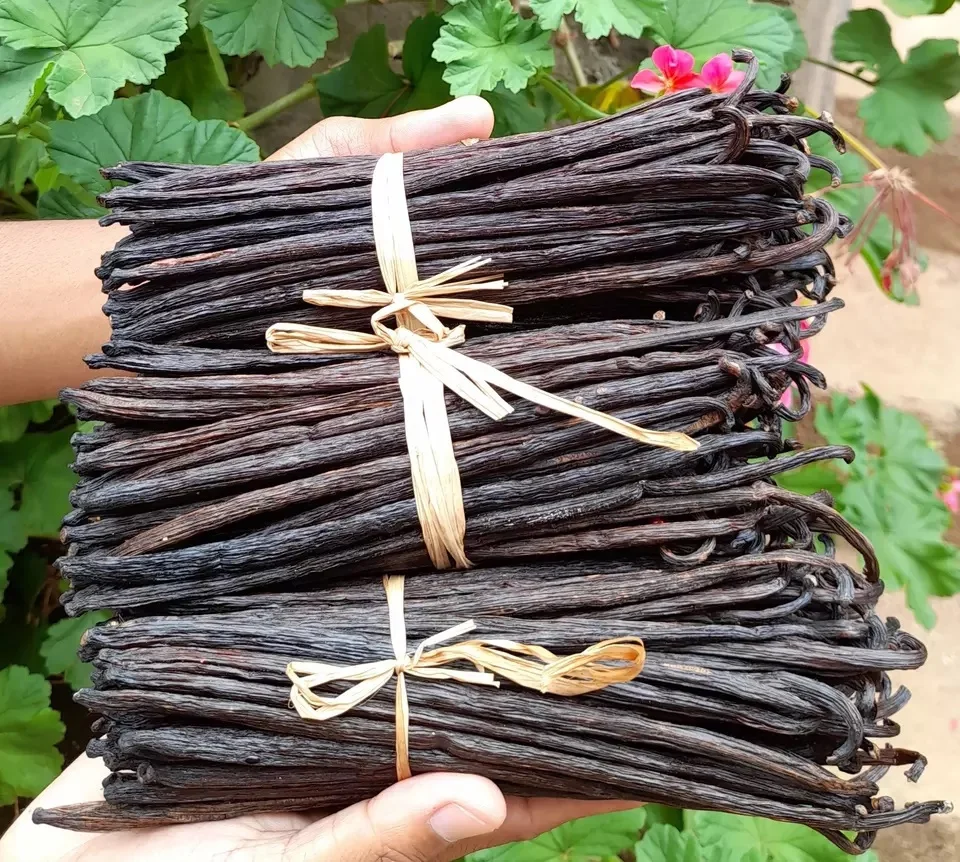 Wholesale Premium Quality Madagascar Vanilla Beans Buy Bulk Vanilla
