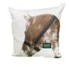 Parche Caballo Con Halter