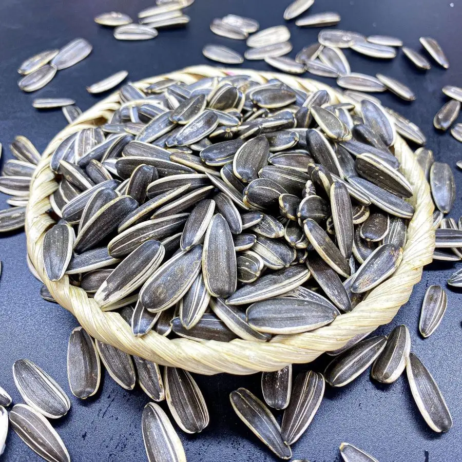 Sunflower Seeds Snack High Quality Thanh Long From Vietnam Manufacturer