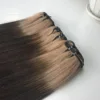 สีน้ำตาลไล่เฉดสี