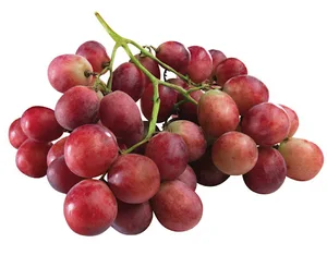 Best Price Organic Fresh Red Crimson Seedless Grapes in Bulk