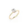 Rose d'or