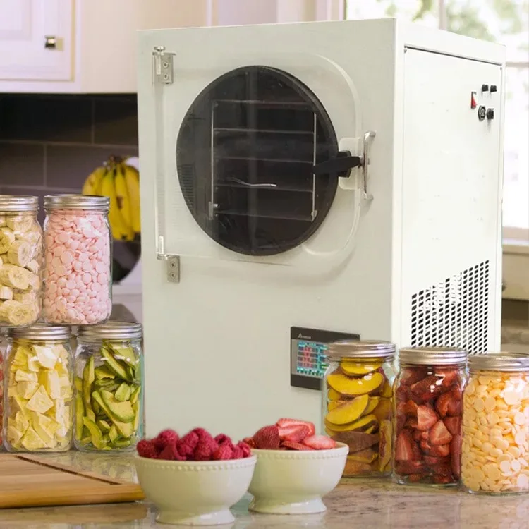 Small Mini Laboratory Vacuum Freeze Drying Equipment Home Food Freeze ...