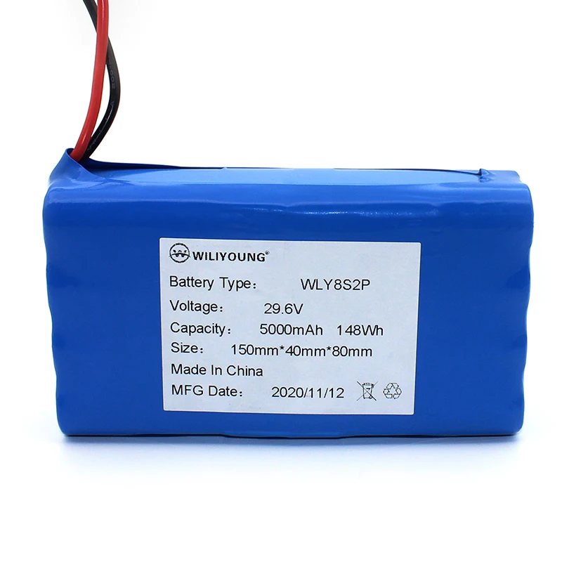 Customized 18650 Lithium Ion Battery Pack - 8S2P Configuration