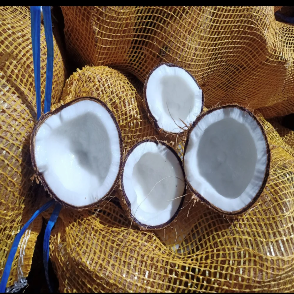 Vietnam Exporting Standard 2023 Semihusked Coconut Cheap Price Dry