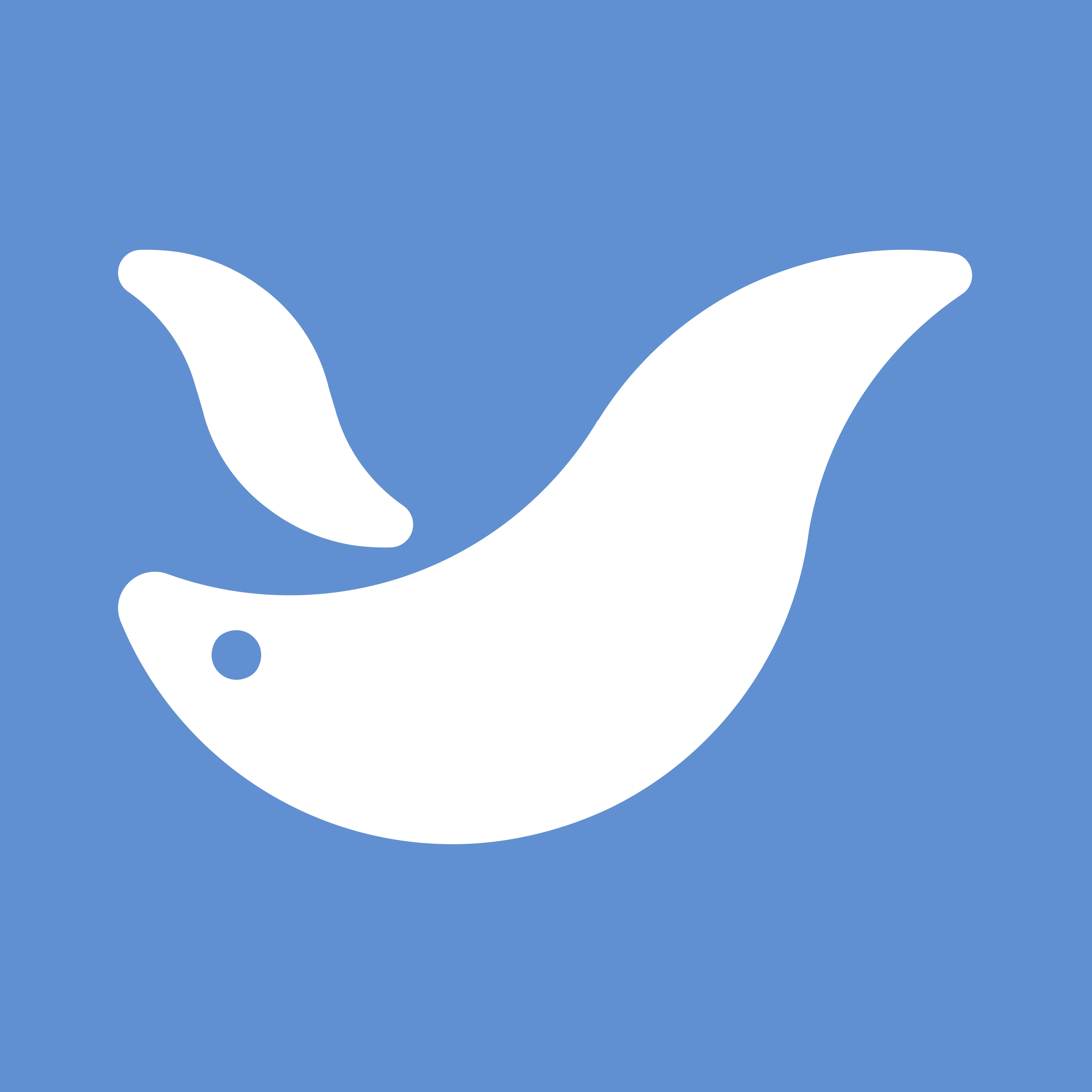 RUE HONG BEDDING CO., LTD. Duvets, Comforters