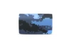 Camouflage Blue