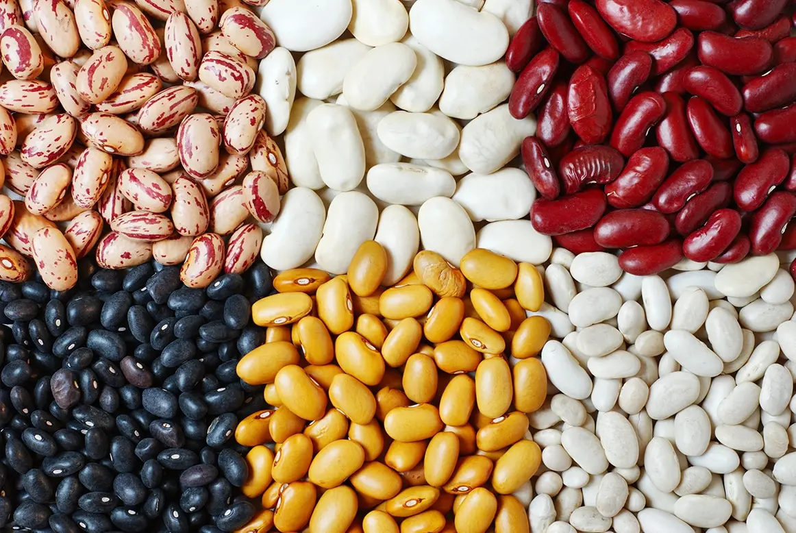 Kidney Beans 6.jpg
