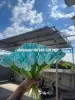 Menta