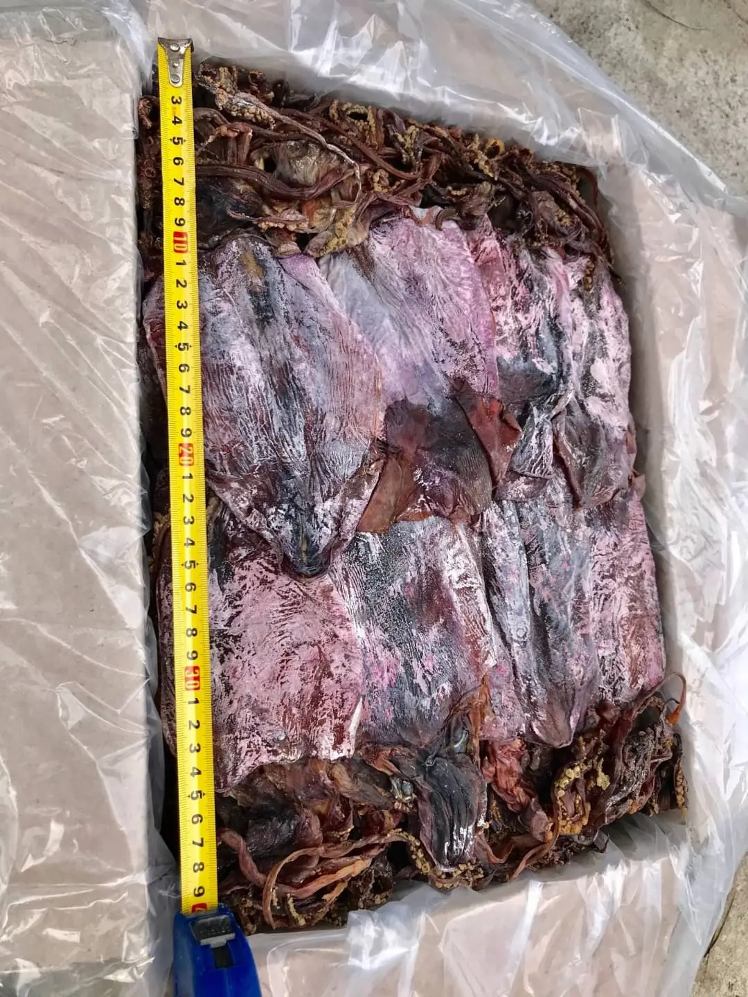 Hot Selling 2022 Dried Black Squid Made In Vietnam Factory Price And