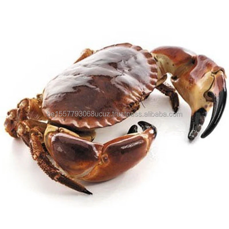 Delicious Blue Swimming Frozen Half Cut Crab Buy 2022 Good Taste