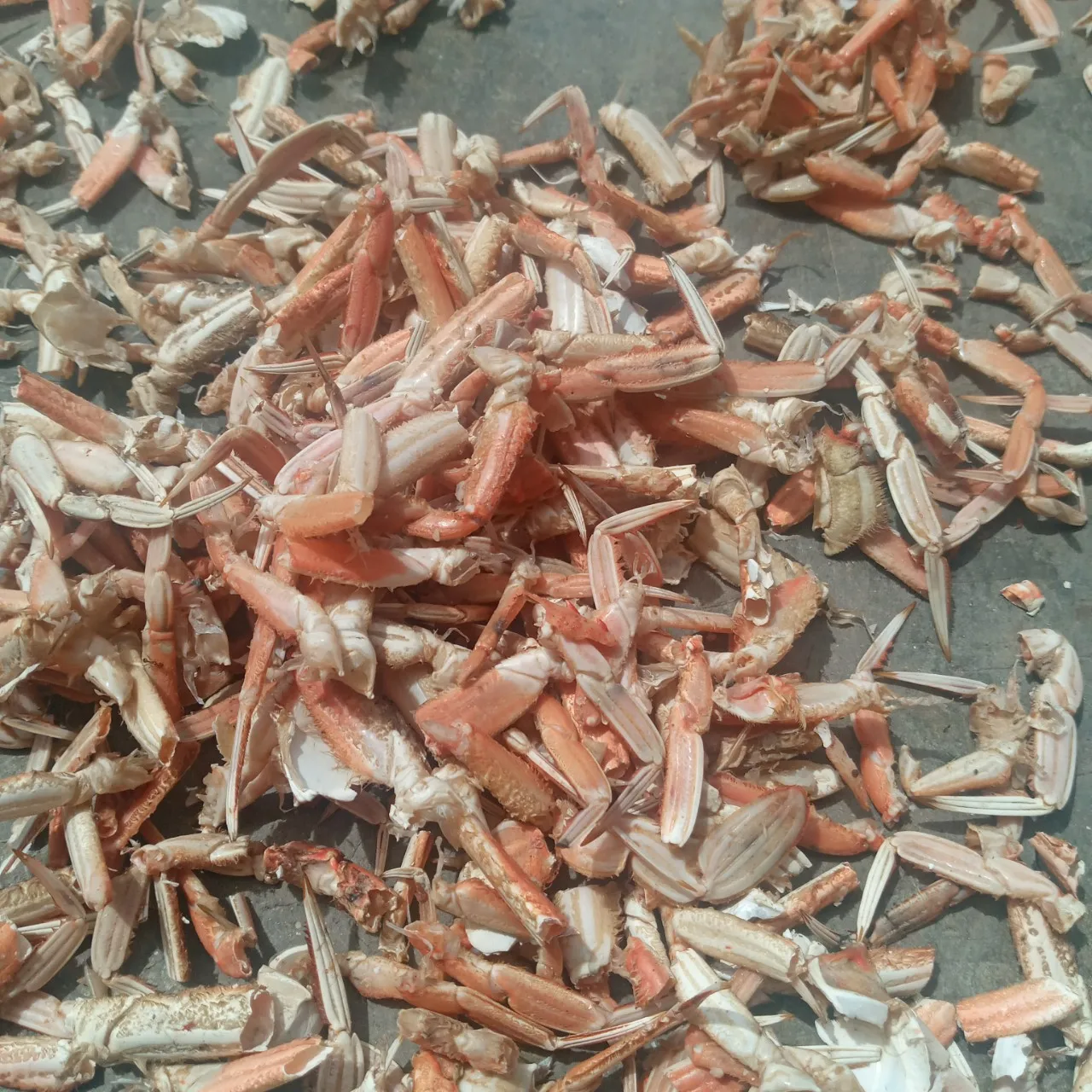 CRAB SHELL POWDER CALCIUM and PHOSPHORUS PROVIDE BIOMEDICAL COSMETICS ANIMAL FEED WHOLESALE CHEAPEST PRICE
