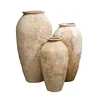 Blanc ancien