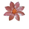 สีชมพู