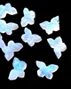 Same As Pictures