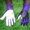 Black, Purple & White