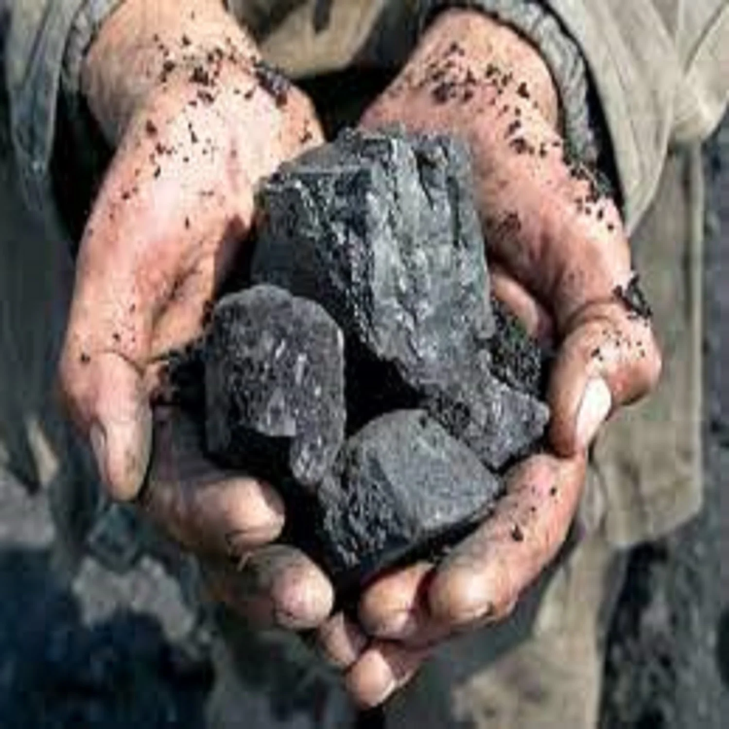 Export custom private label 5500- 6400 GROSS CALORIFIC steam coal RB1 RB2