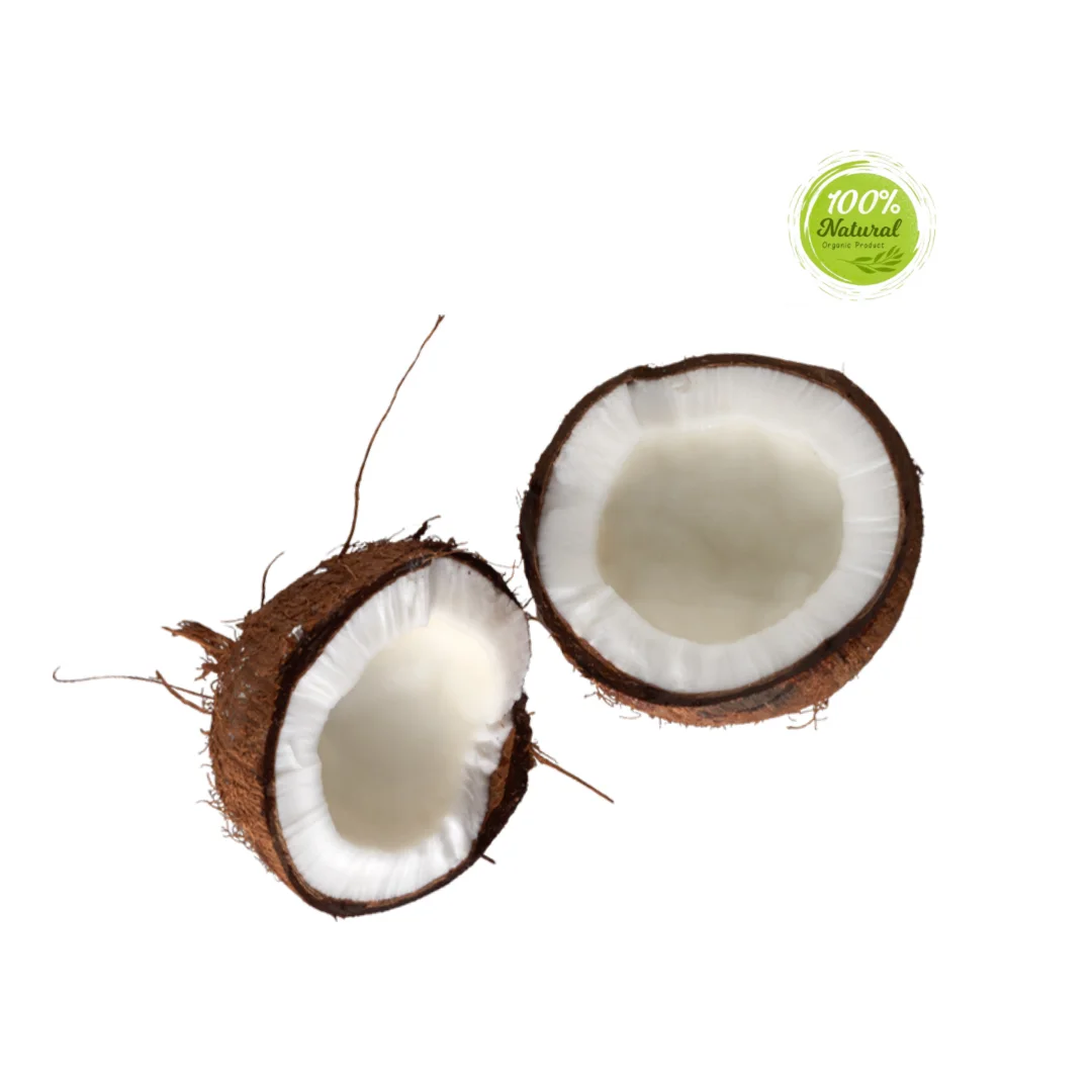 Exploring the Nutritional Value of Dried Coconut