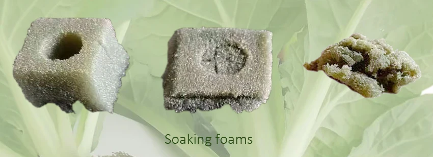 soaking foam.jpg