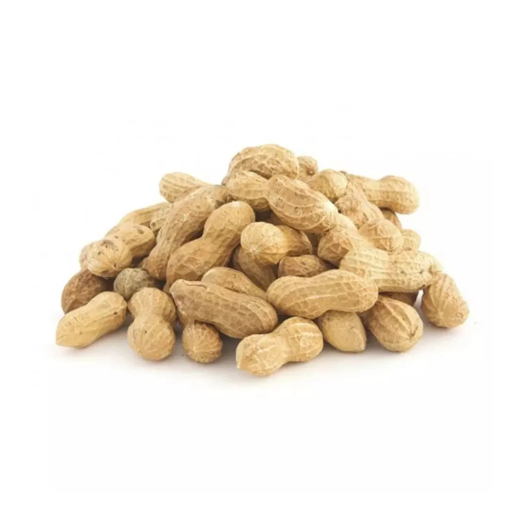 Salted Roasted Peanut For Cooking Wholesale Peanuts Buy Salted