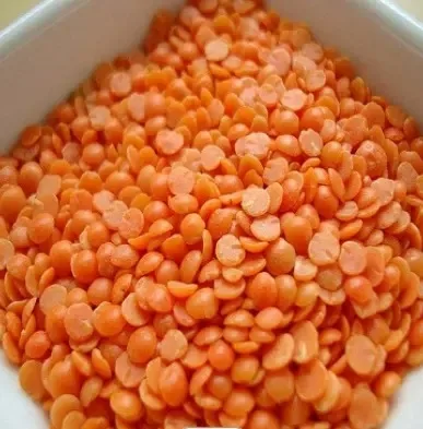 New Crops Red Lentil High Quality Organic Red Lentils In Bulk Max Gift ...