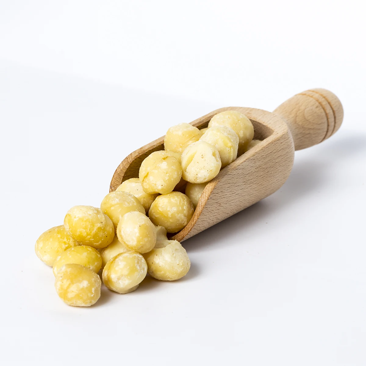 Premium Quality Fresh Macadamia Nuts Roasted and Dried in Bulk for Wholesale and Retail for Large Orders