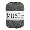 819 สีเทาหม่น