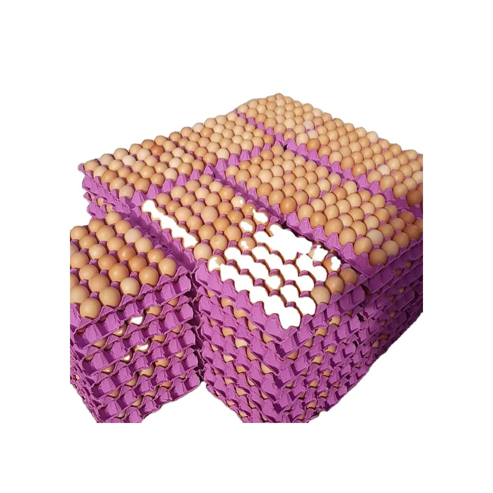 Broiler Hatching Eggs Ross 308 And Cobb 500 And Chicken Table Eggs