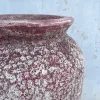 Red Rust