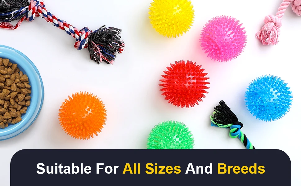 Squeaky Dog Toy Balls