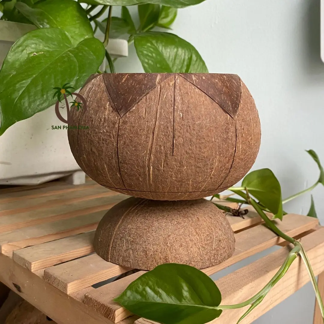 Natural Handmade Coconut Shell Pot Micro-Green Seed Planter with Hanging Feature for Garden Use