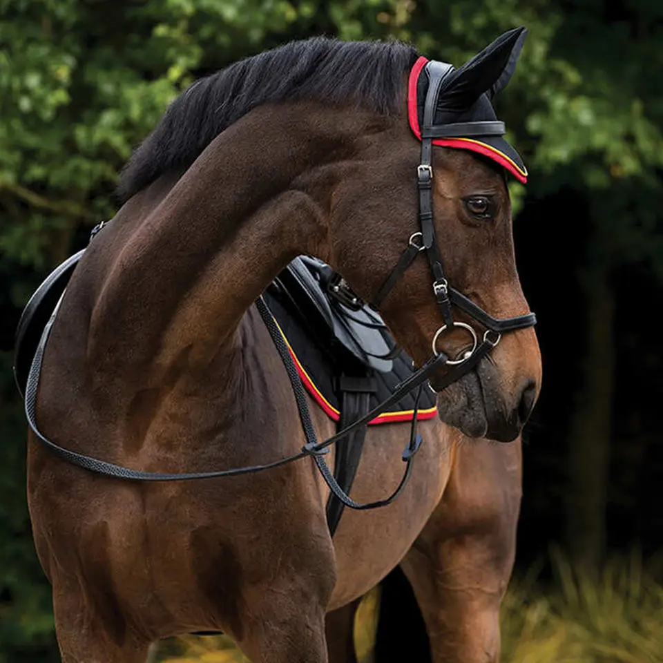 Horse Equipment Horse Saddle Pad Harness Accessories Saddle Pad Horse