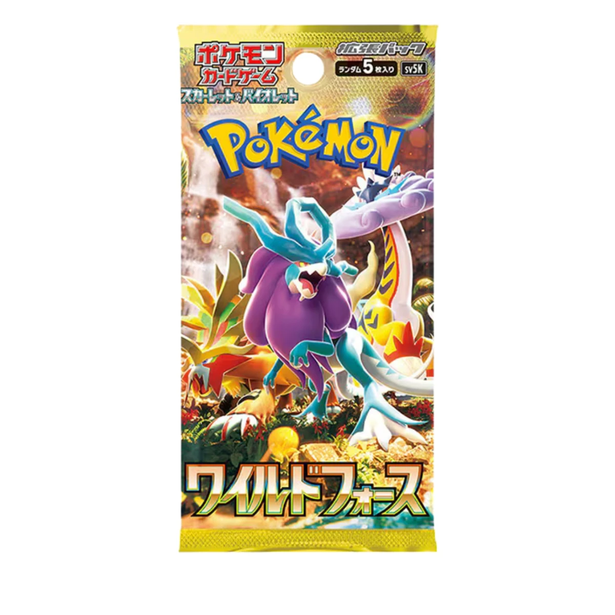 Pokemon spelregels voor ket kaartspel trainer