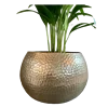 COMME IMAGE