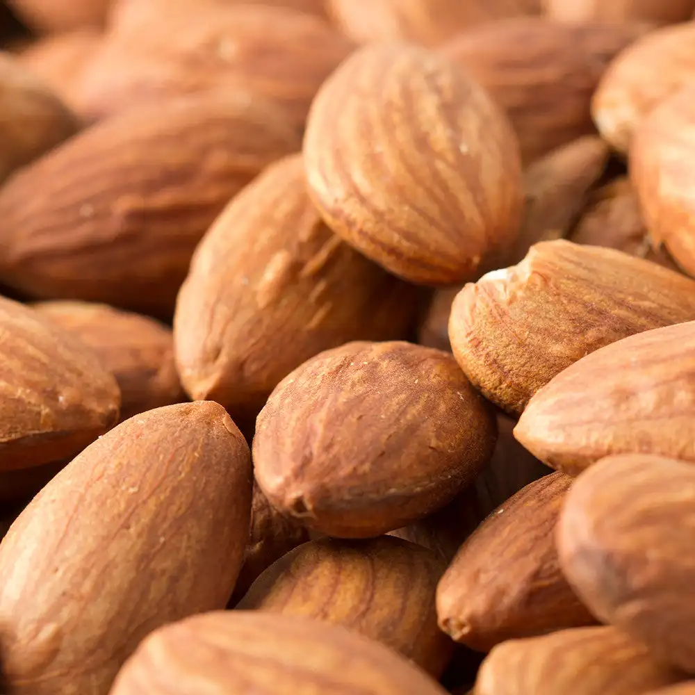 Buy Fresh Baked Dried Almonds Nuts Direct Producer Wholesale Food Available Worldwide Shipping