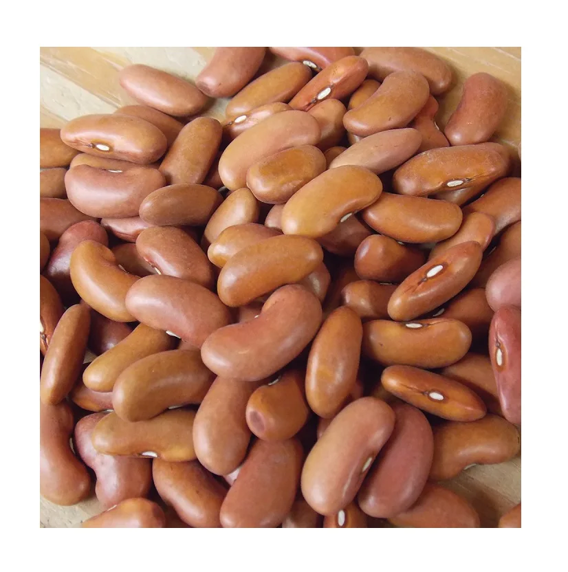 High Quality Light Red Kidney Bean / Brown Kidney Beans Available For