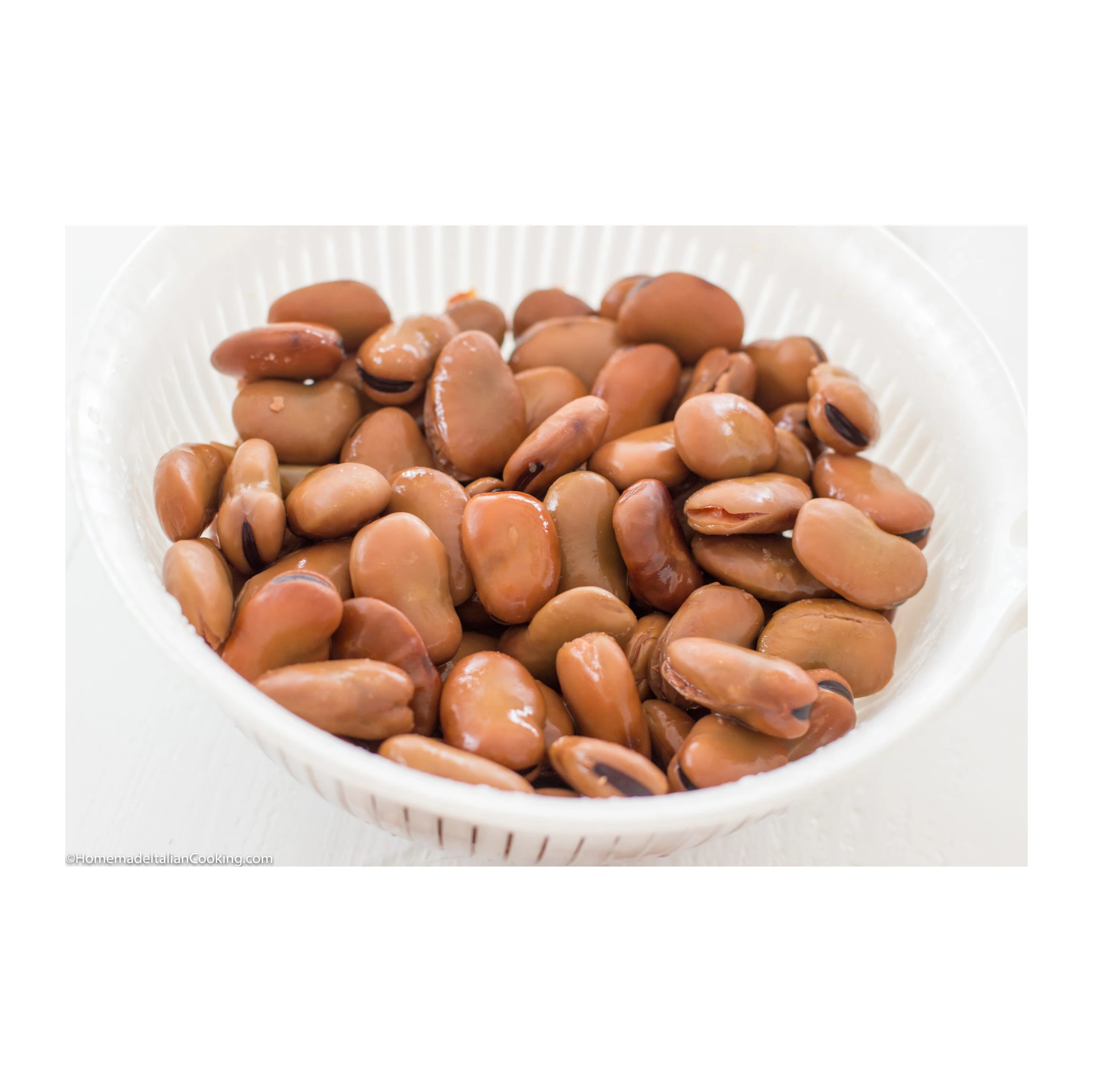HIGH QUALITY ETHIOPIAN FABA / Fave BEANS BROAD BEANS horse beans FOR SALE