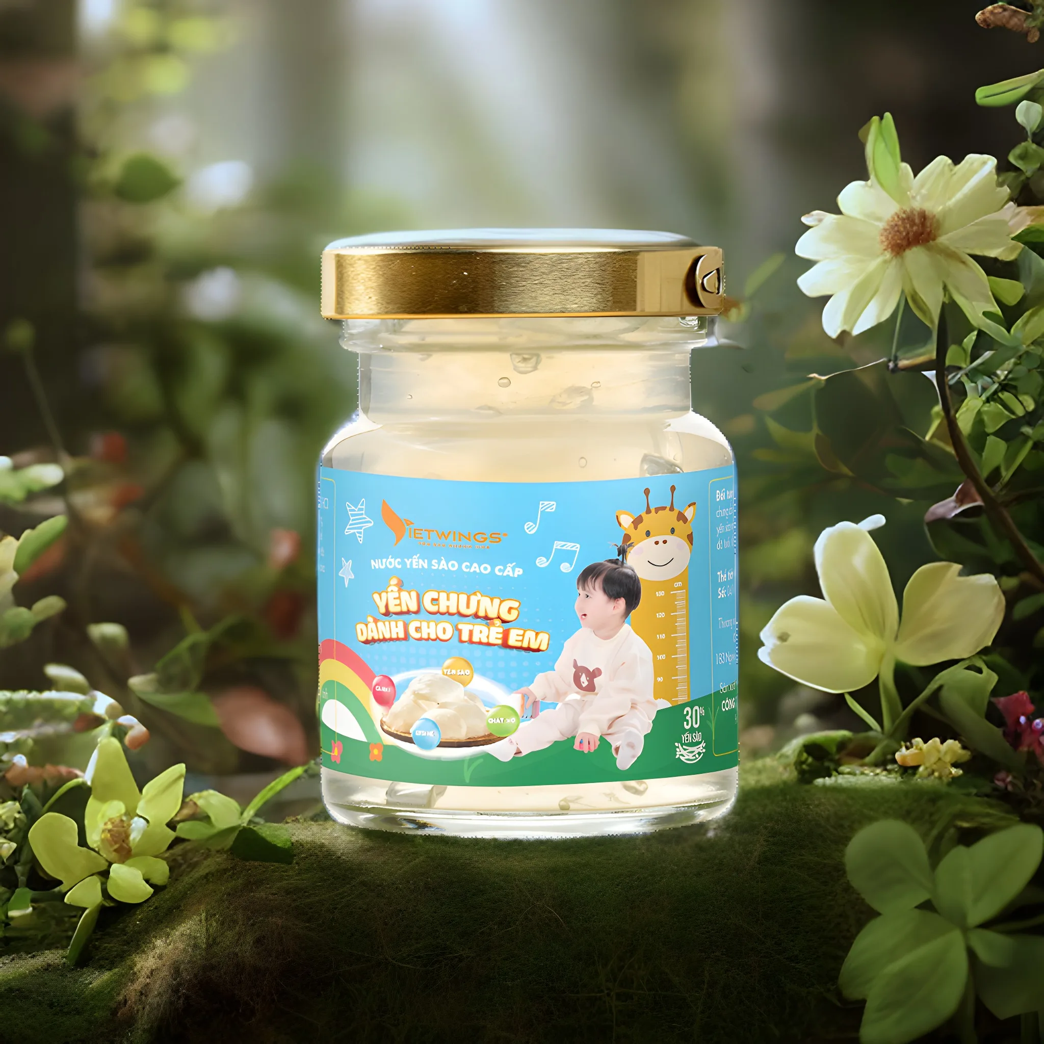 Viet Nam Birds Nest Drinks For Children 70ml/jar Birds Nest Packaging