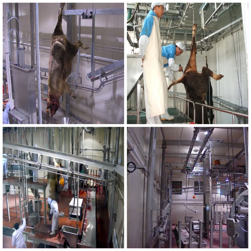 Integrated cattle slaughtering machine for beef production lines and slaughterhouses