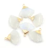 Rainbow Moonstone