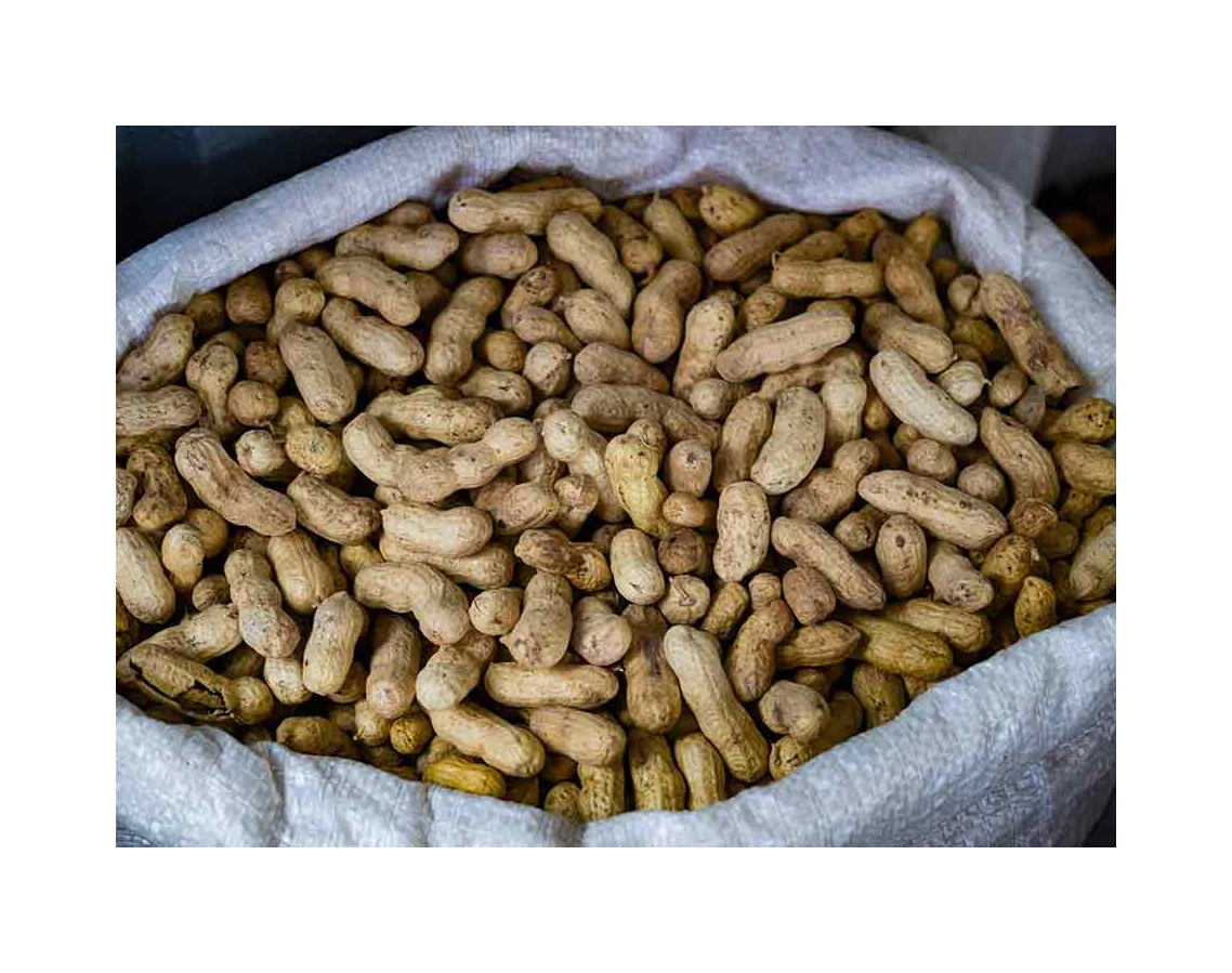 Blanched Java peanuts Price Per Ton Blanched Java peanuts Wholesales Blanched Java peanuts