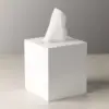 customize