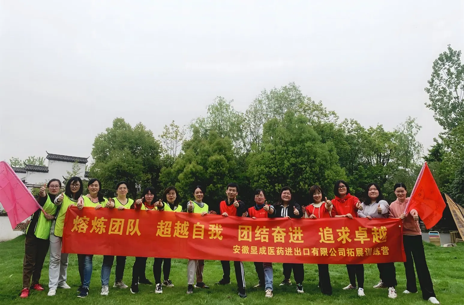 Anhui Medipharm Co., Ltd. 2