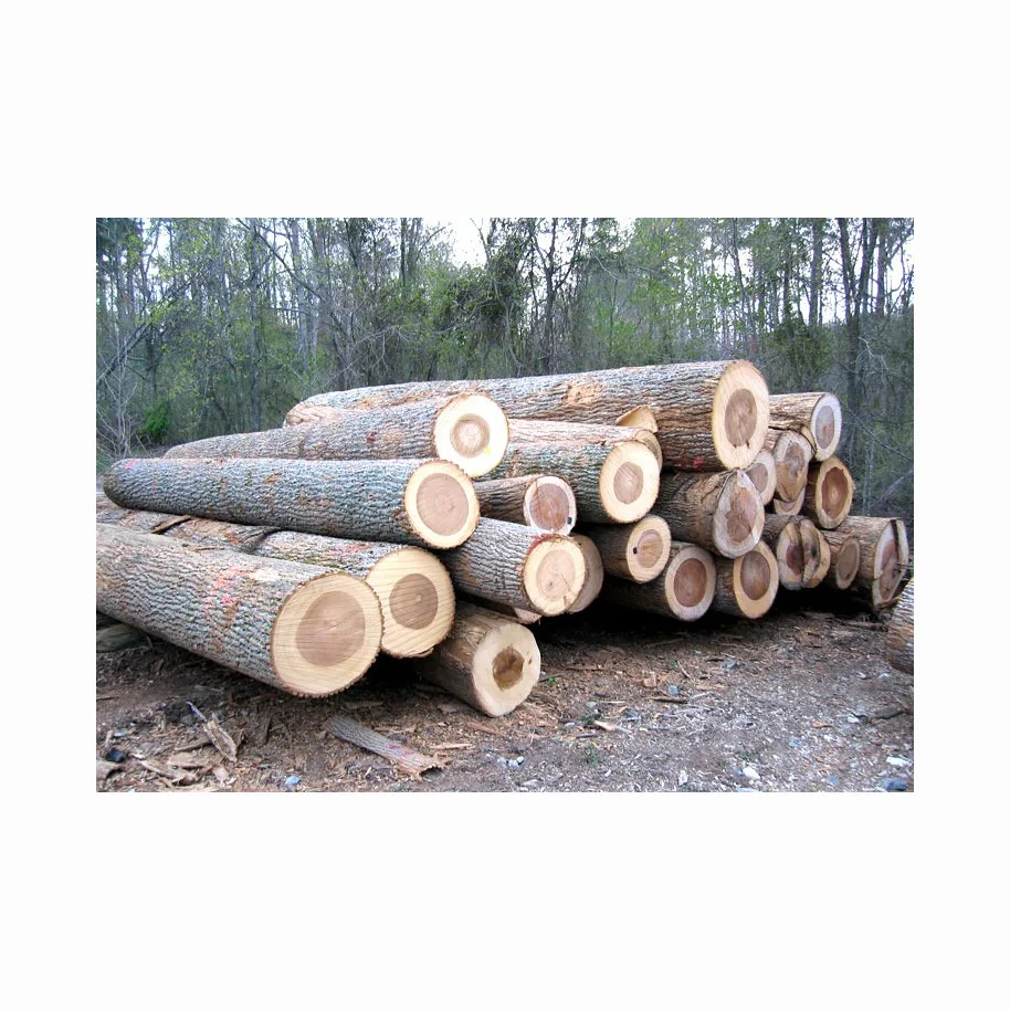Top Sale High Performance Cypress Hinoki Importers Timber Wood Logs