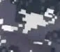 Pixel