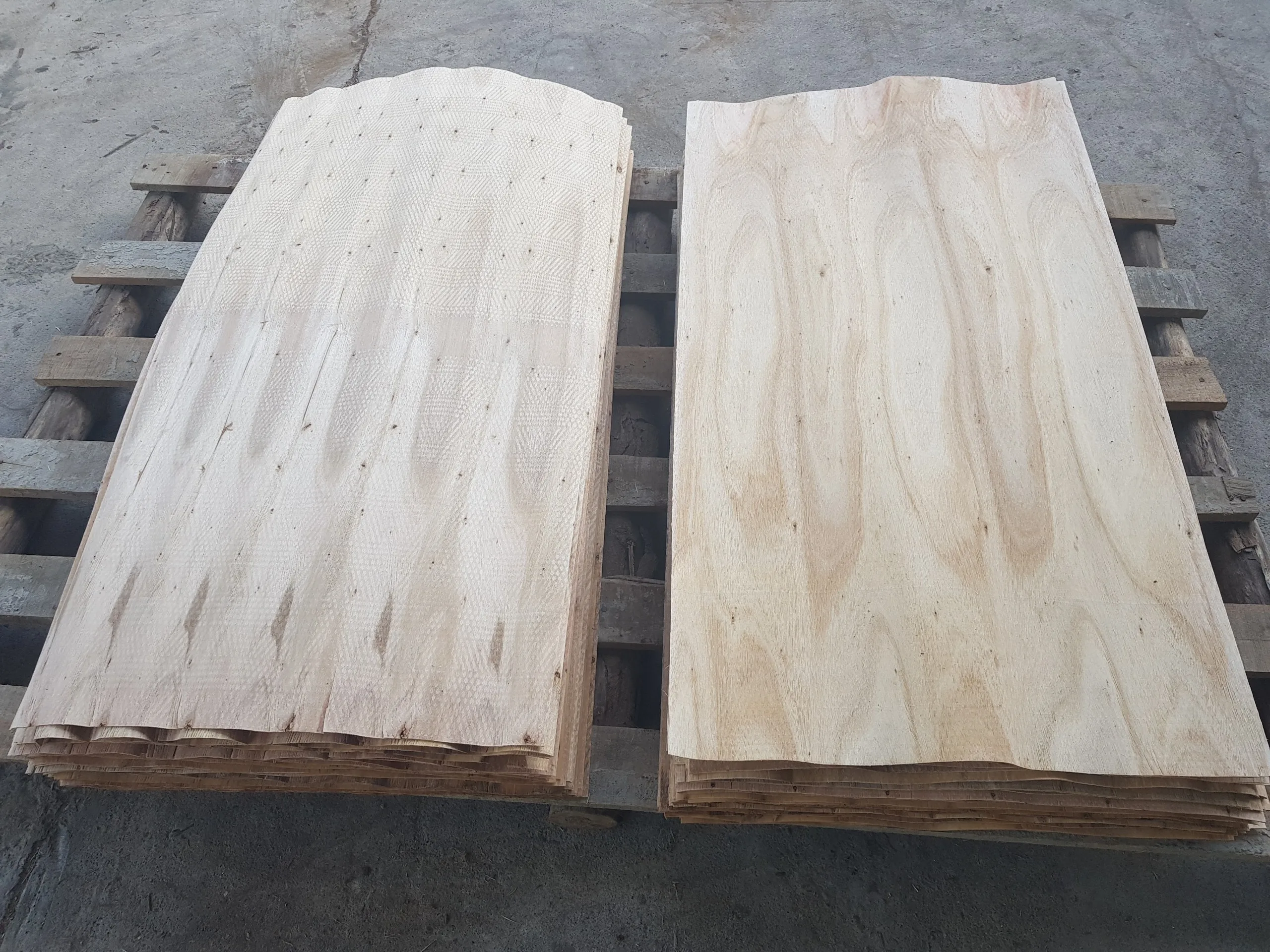 Eucalyptus/acacia Wood Core Veneer 2023 Vietnam Natural Sliced Wood
